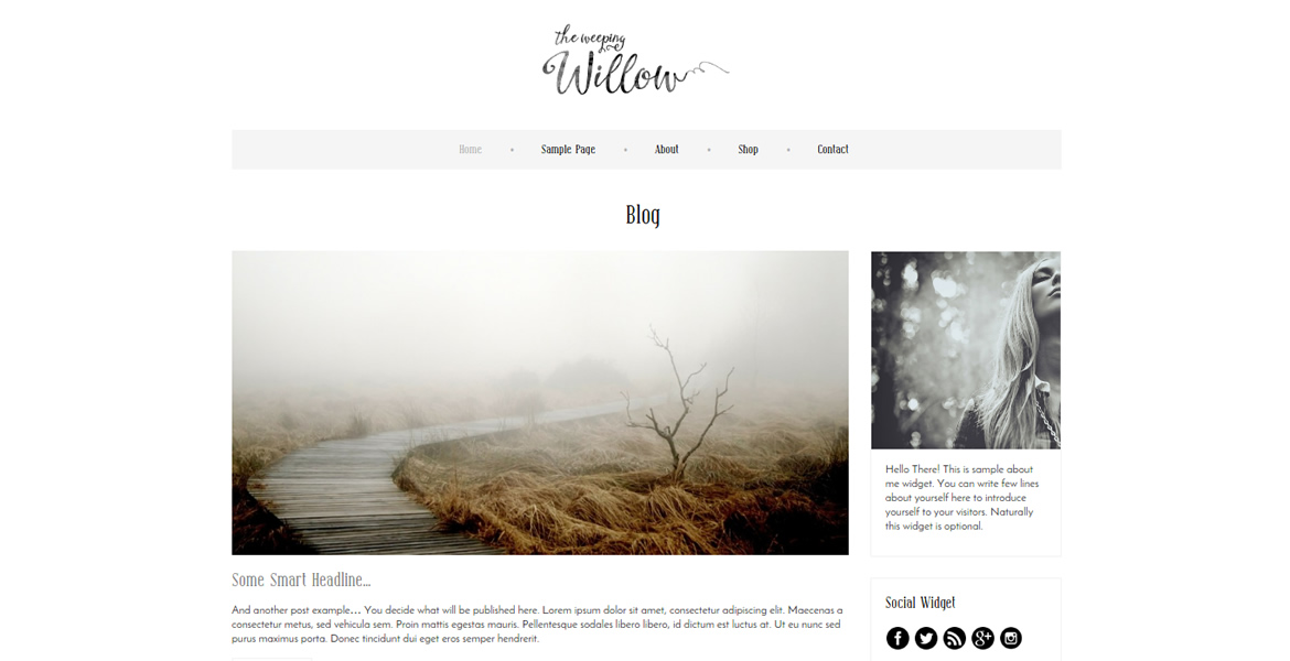 Weeping-Willow-wordpress-theme-blog