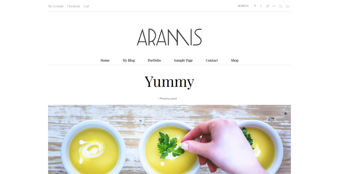 aramis-wordpress-theme-portfolio-post